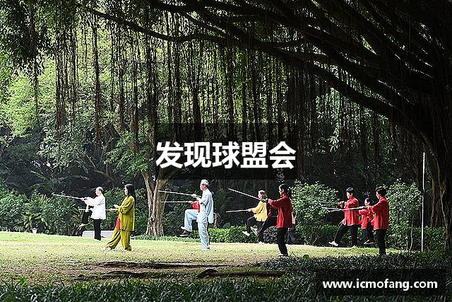 发现球盟会